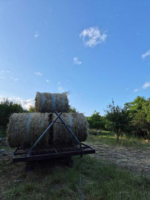 Vand baloti de fan si baloti de ovaz 1,20x1,20, an 2025