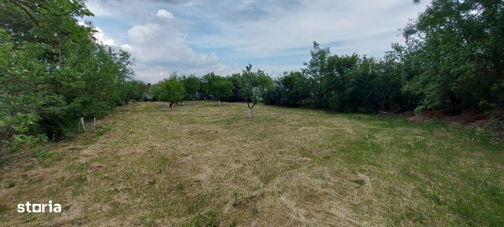 Teren intravilan de vânzare | 900 mp | Movila | Toate utilitatile