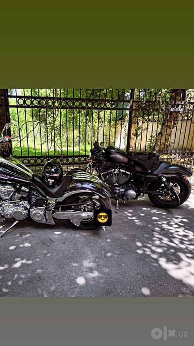 Harley Davidson sportster 883 iron custom