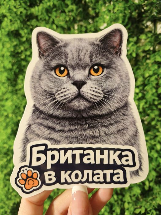 Стикери за кола - куче/котка в колата - различни породи, UV защита