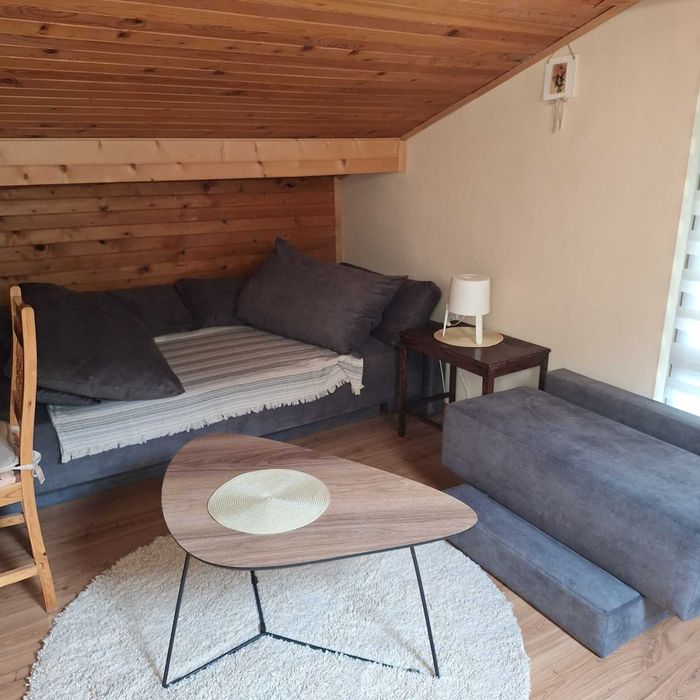 Дава се под наем Едностаен апартамент в София, Бояна - 80 кв.м за 450 € - Снимка #4