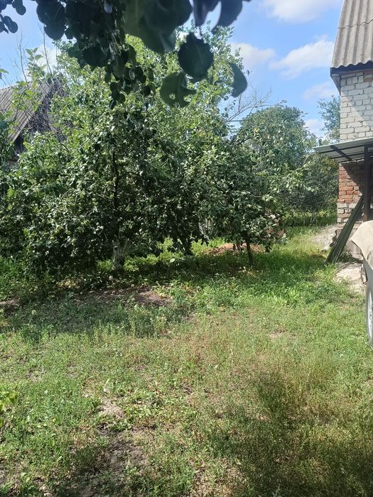Продам дачу в Топольке.