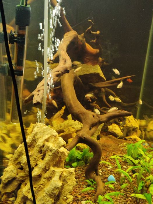 Продам  аквариум 200 литров