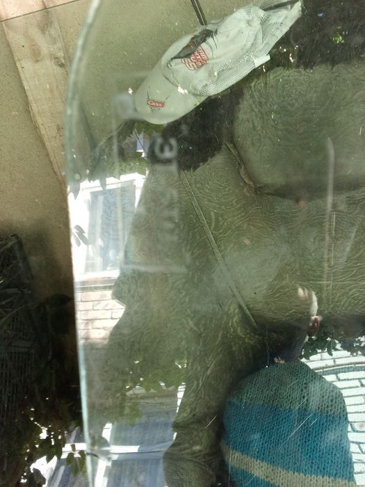 Стекла на сельхоз технику