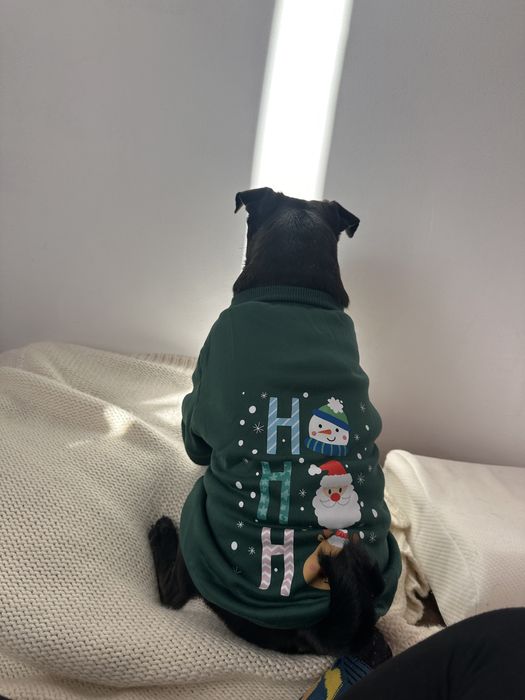 Яке за кученца дребна порода.Топли ,с подплата ,удобни и предпазващи.