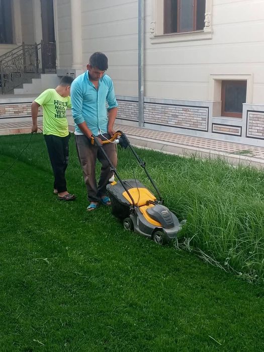 Tayyor Gazon urnatib beramiz 100 000  sum