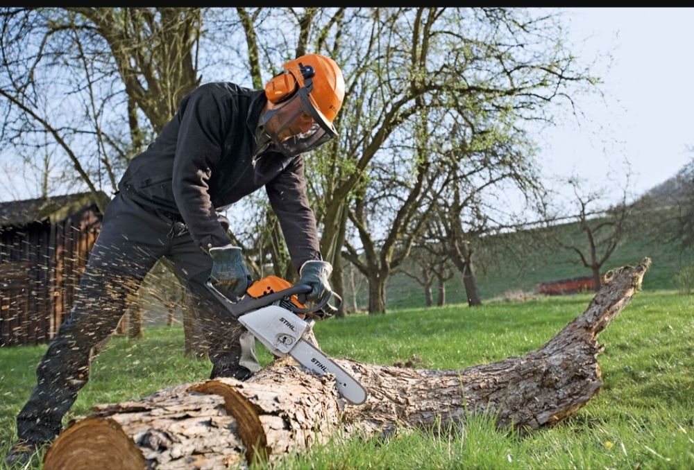 Ағаш кесу спилим деревья