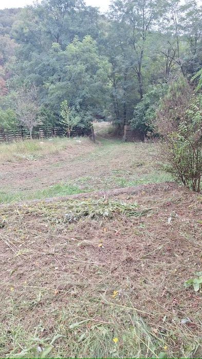 Grădină pe Valea Bârzăvii