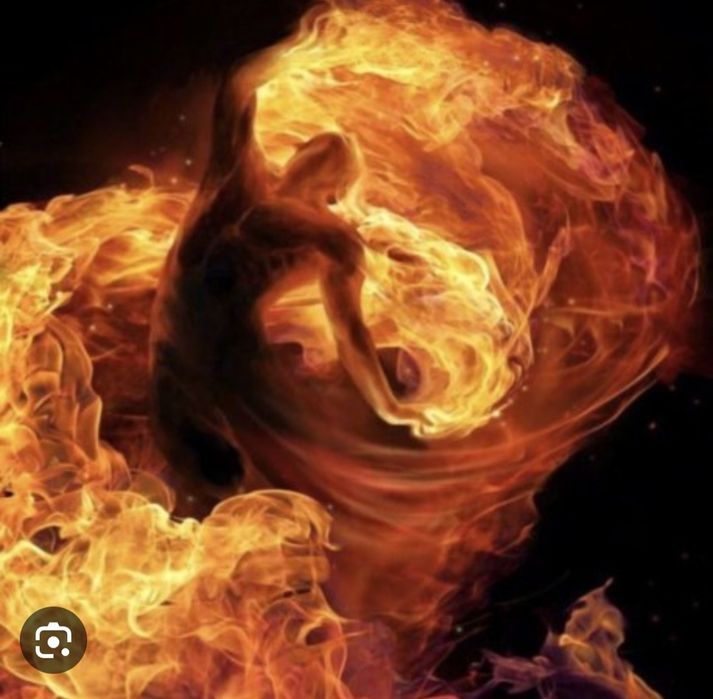 Евтаназия на домашни любимци