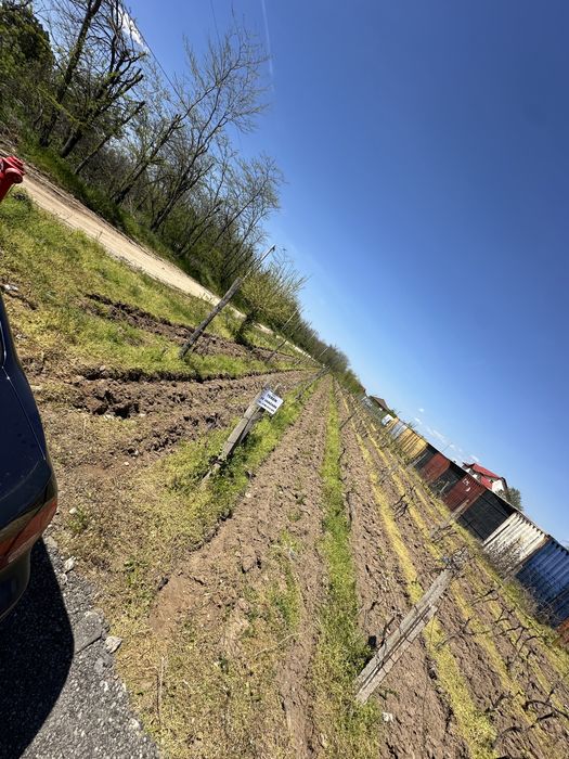 Teren intravilan 794 mp Cârcea Pelendava – 2 deschideri + utilități