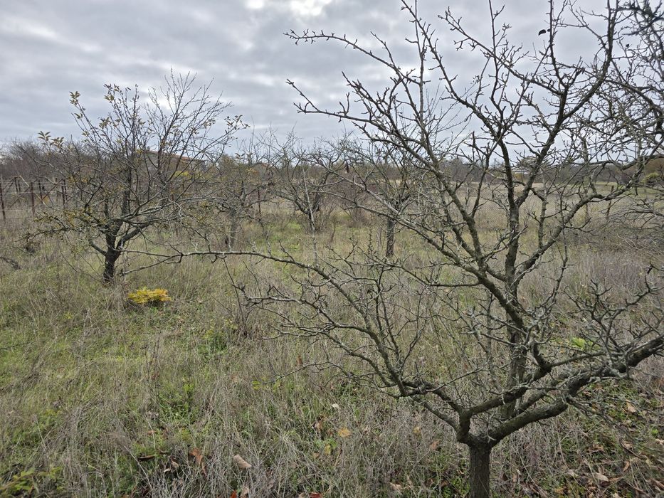 Продава се Парцел в Варна, Владислав Варненчик - 600 кв.м за 39 €/кв.м - Снимка #6