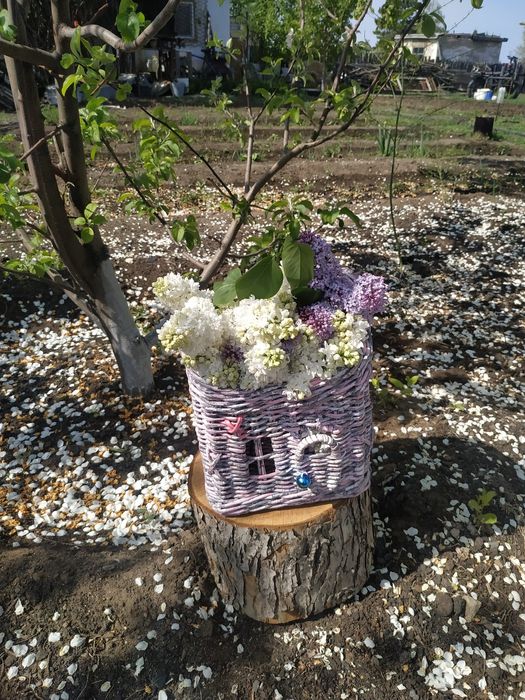 Приготовлю поделку с ребенком.