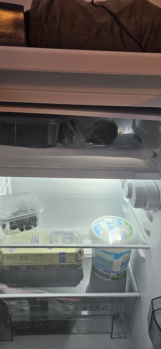 Vând frigider Sharp cu congelator