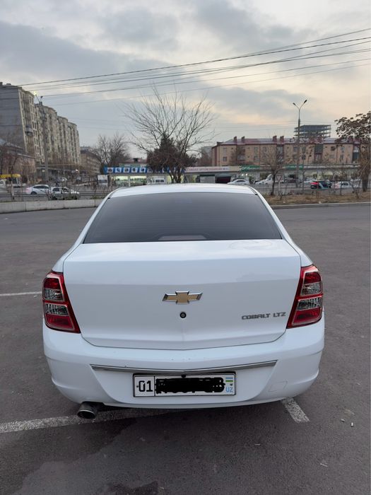 Cobalt Avtomat 2021/2022