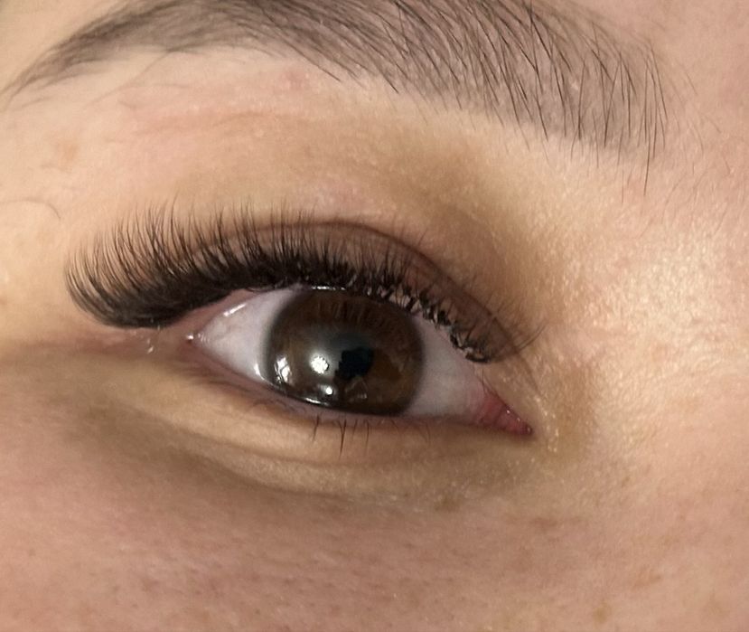 2D-5500 3D-6000 4D-6500 5D-8000