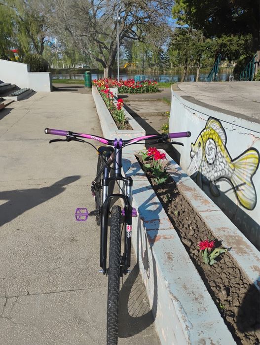 Vand rockrider st 120 negociabil