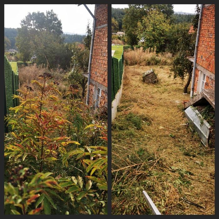 Подрязване на дървета и лозя,косене и чистене на дворове