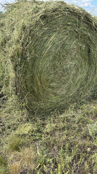 В продаже сено в рулонах. Доставка.