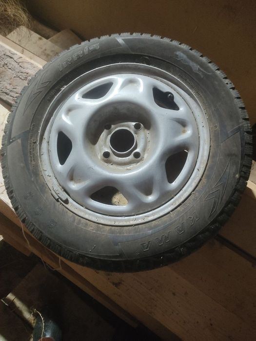 Зимний шиповника балон