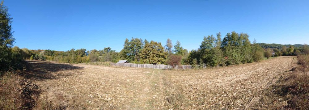 3 terenuri alăturate lângă pădure, Mica | aproape de Pitești