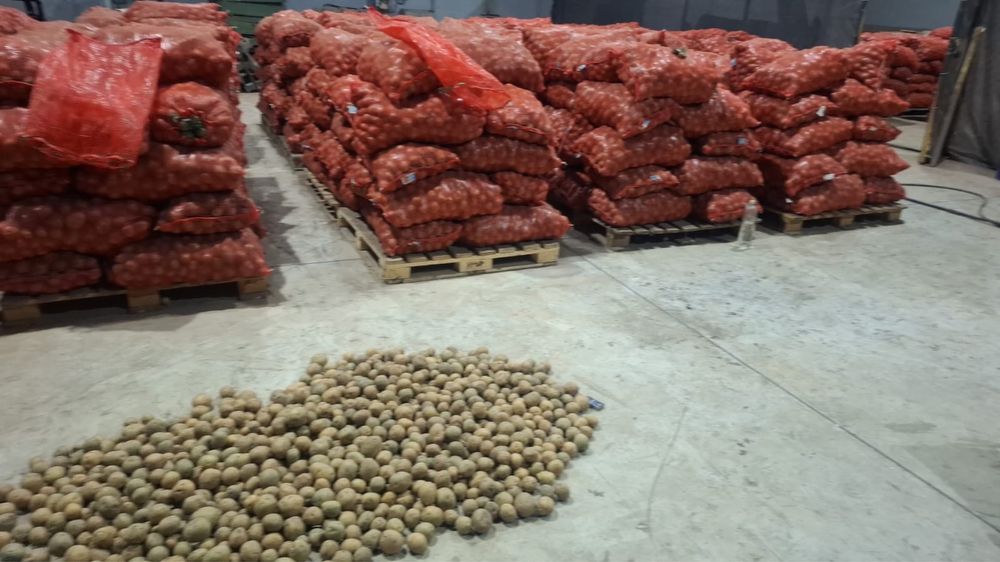 Продам Картофель