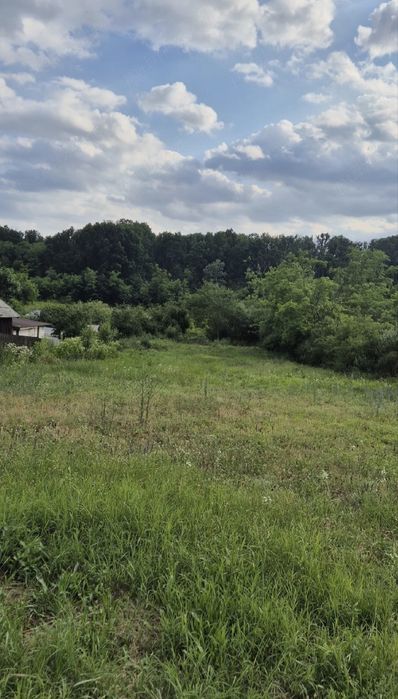 Teren de vânzare in Olt