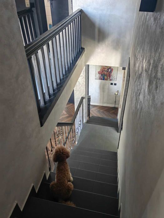 Продава се Къща в с. Рогачево, Област Добрич - 251 кв.м за 1196 €/кв.м - Снимка #5