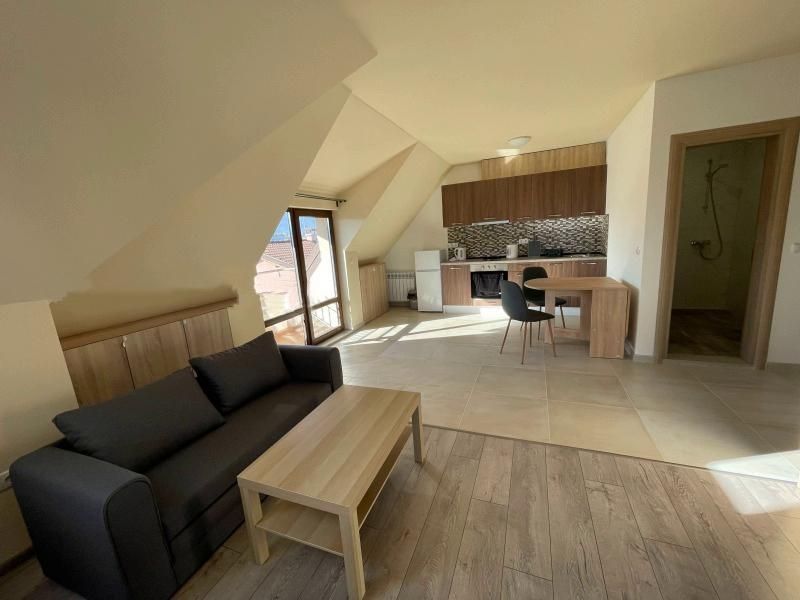 Дава се под наем Едностаен апартамент в София, Горубляне - 55 кв.м за 1000 € - Снимка #4