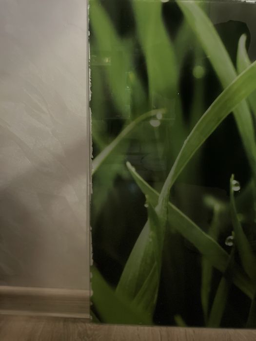 Принт стъкло/ гръб за кухня