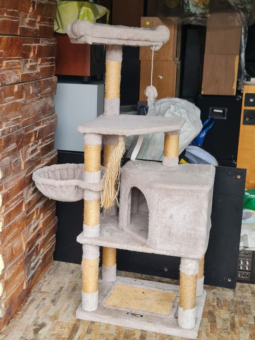 Ansamblu pentru pisici