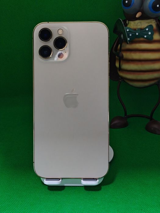 Iphone 12 Pro Max  - Garantie