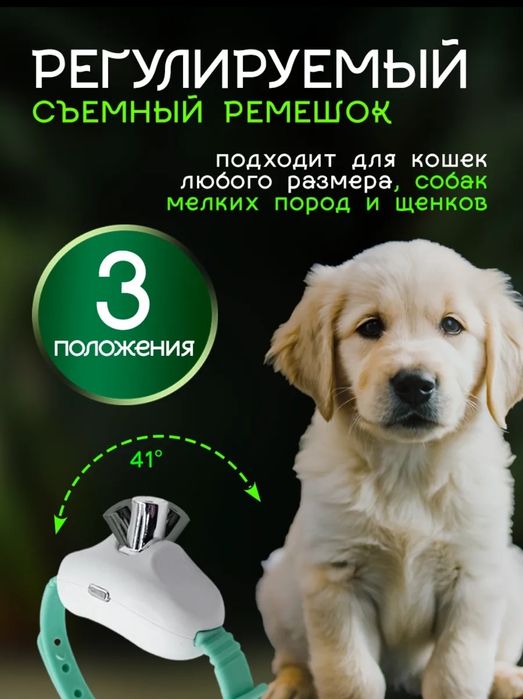 Лазерная игрушка для кошки, собаки, питомцев