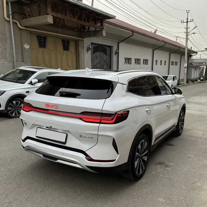 byd champion pad zakaz
