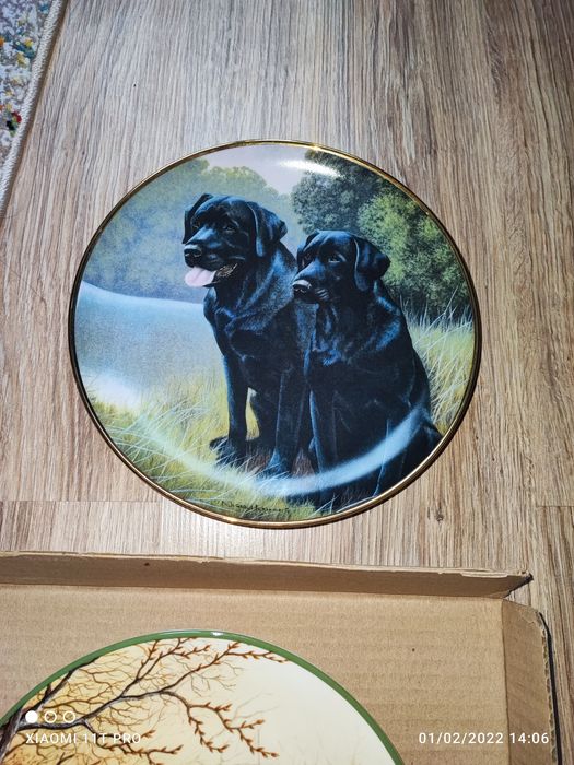 Колекционерски чинии