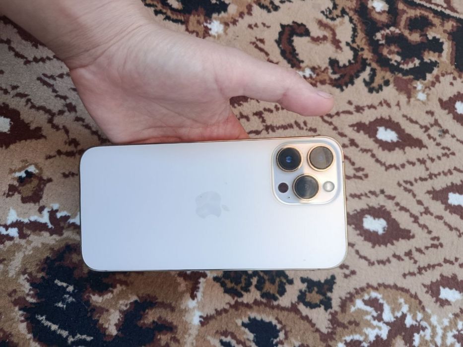 Iphone 13 pro max