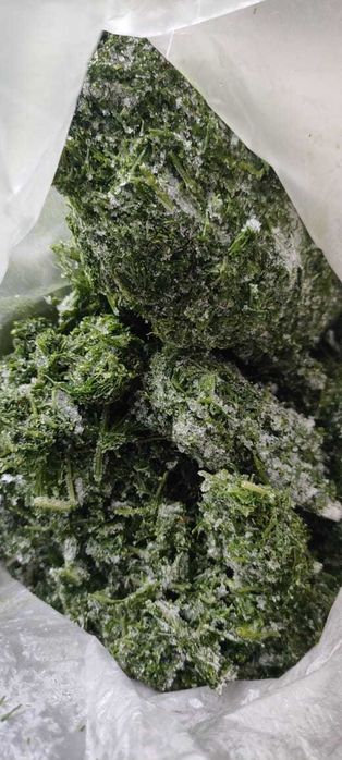 Укроп веник сухой