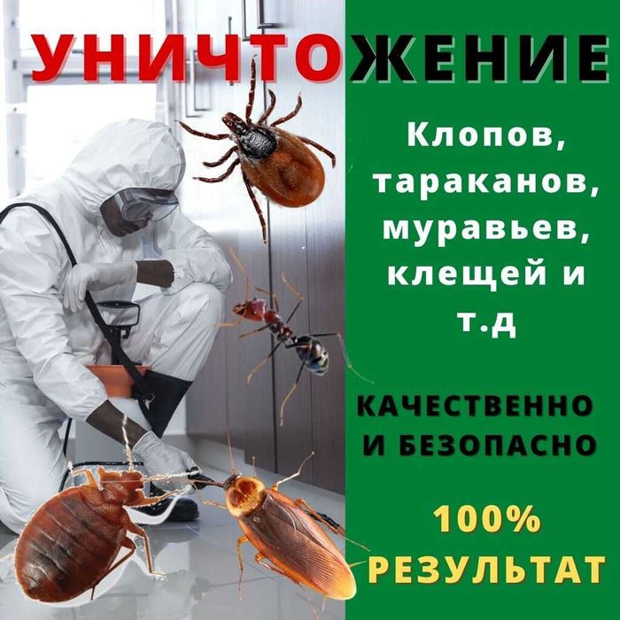 Дезинфекция Dezinfeksiya от Клопов Тараканов Мухи Камари Грызунов 24/7