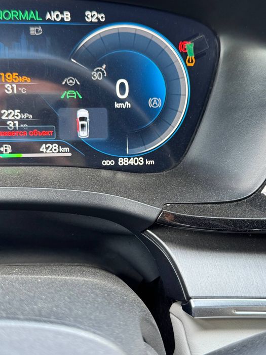 Byd chempion gibrid, 150 talik sotiladi