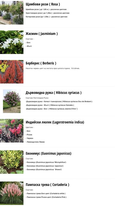 Разсадник Монтана : дървета дръвчета овошки фиданки за озеленяване