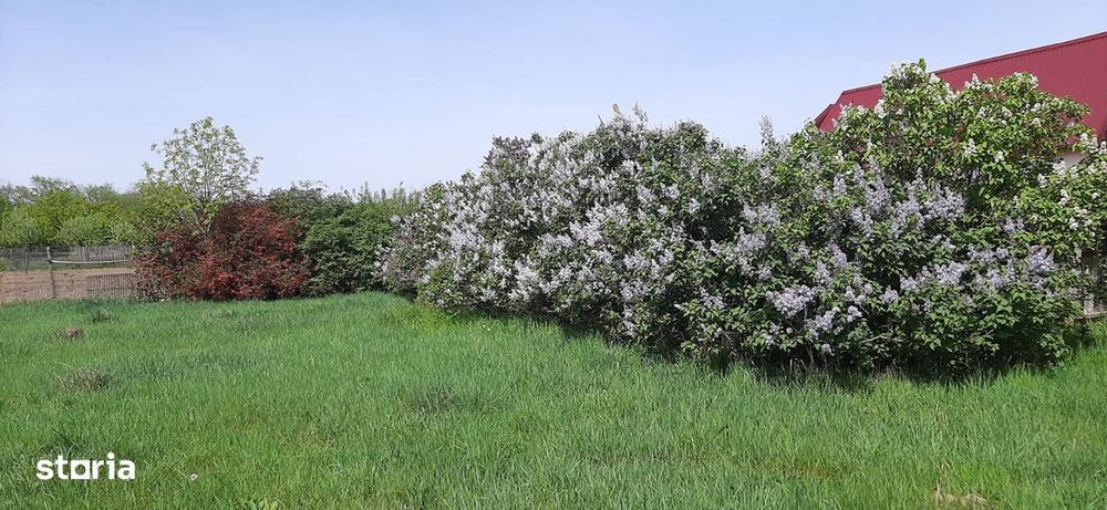 Teren intravilan in Zaicesti zona Conacului cu latura de padure