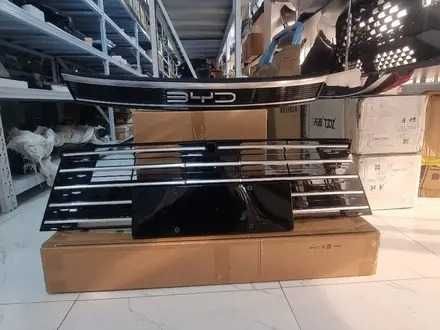 Решетка радиатора BYD DESTROYER 05 22-