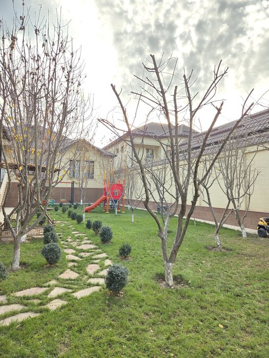 Посадка и обрезка деревьев