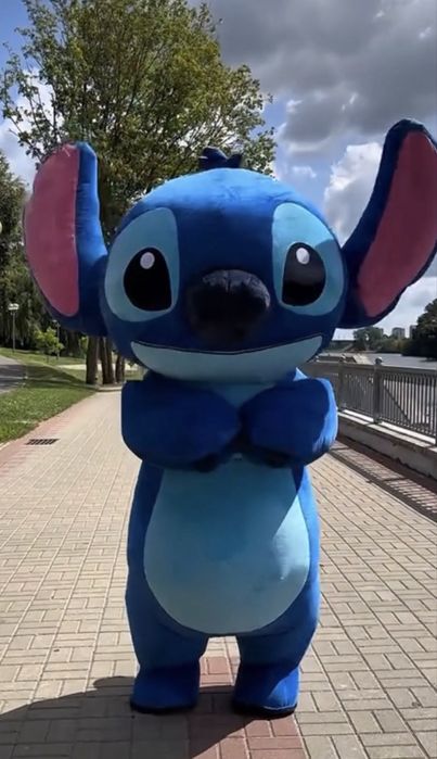 Костюмы Стича и крыс на прокат