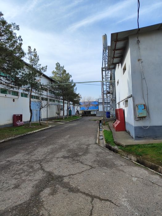 База,Промзона,2 Гектара,7,700 помещения,ориентир Кока Кола завод.