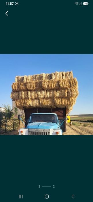 Сабан прес бар,,,