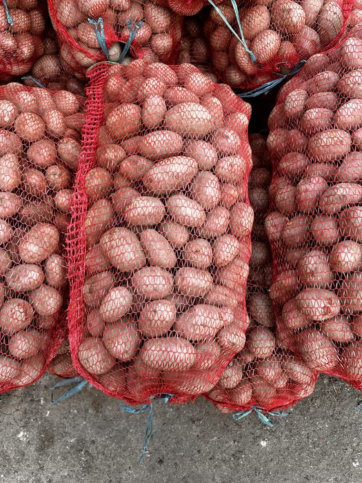 Cartofi albi si rosi de vanzare 1,80 albi 2 lei roși