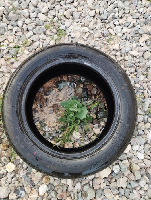 Летние балон R15