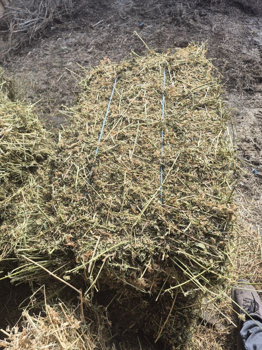 Vând Baloti de Lucerna  fân   Trasport  La Domiciliu