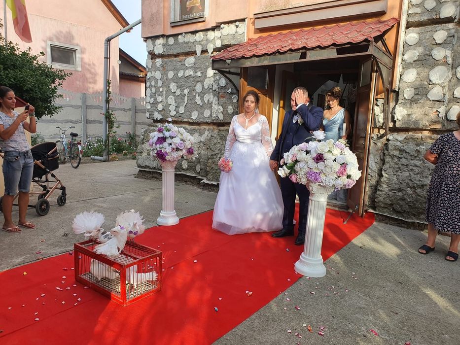 Porumbei albi pentru nunti Timișoara