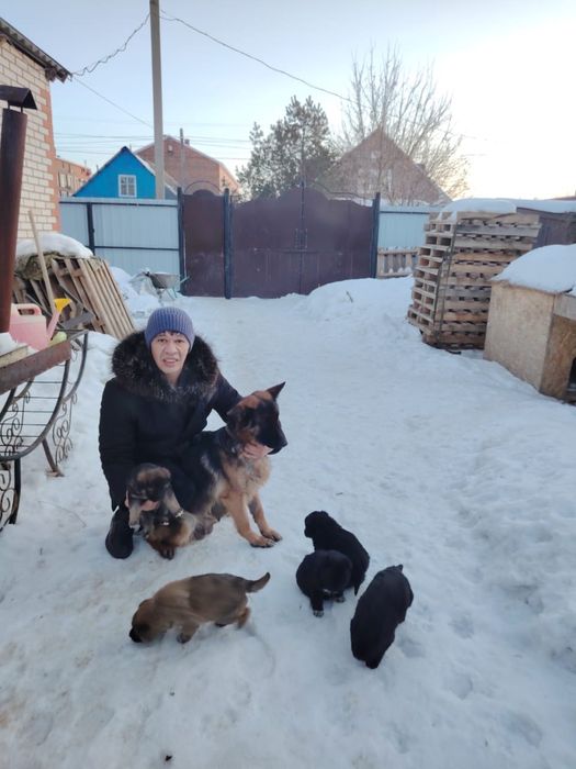 Отдам щенят в добрые руки